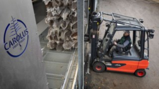 Linde E-Stapler beim Einsatz bei Carolus Trees Linde E-Stapler beim Einsatz bei Carolus Trees